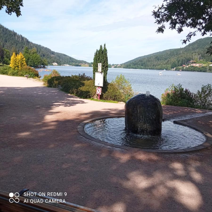 Appartement Les Balcons De La Chalande Le Tholy Gerardmer, Jardin,Balcon, Terrasse, מראה חיצוני תמונה